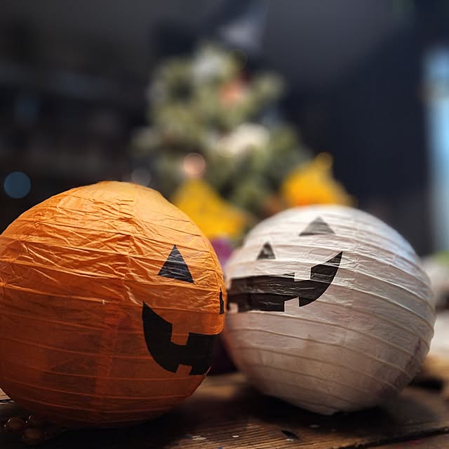 CYNOSさんの実例写真