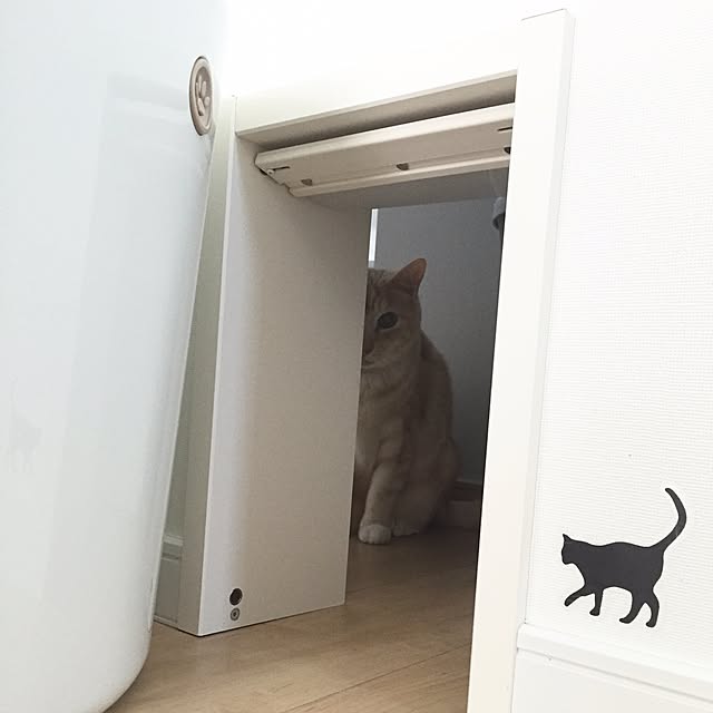 Minakoさんの実例写真