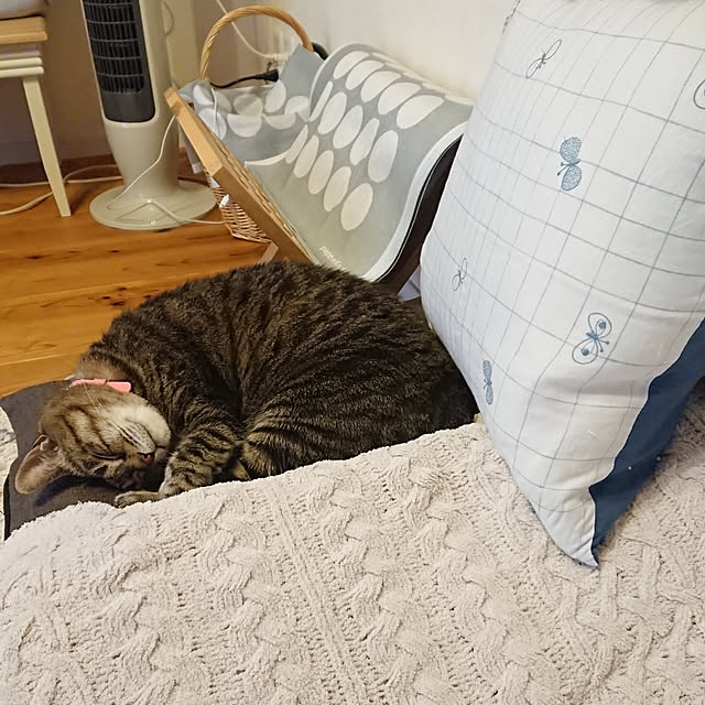 ruuさんの実例写真