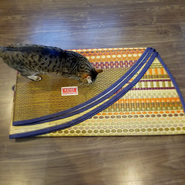 yumiさんの実例写真