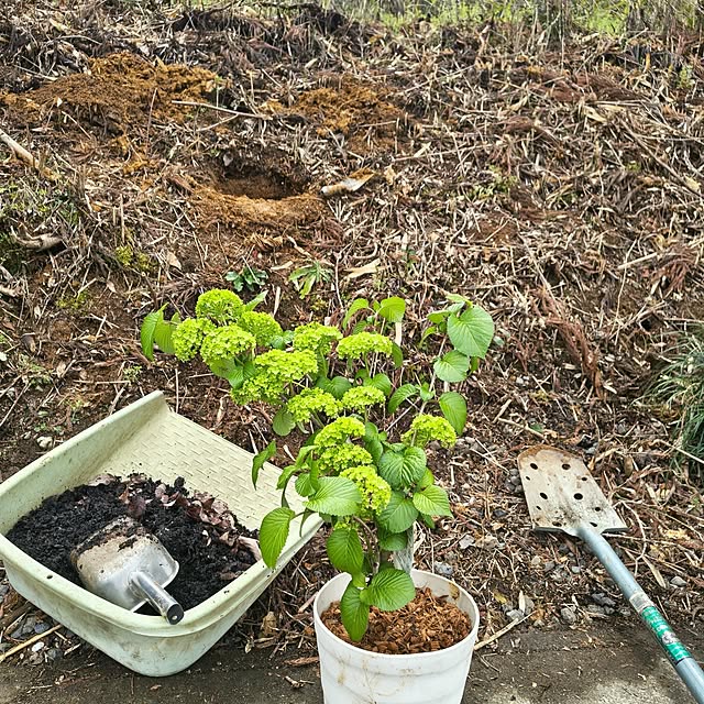 Rubiconさんの実例写真