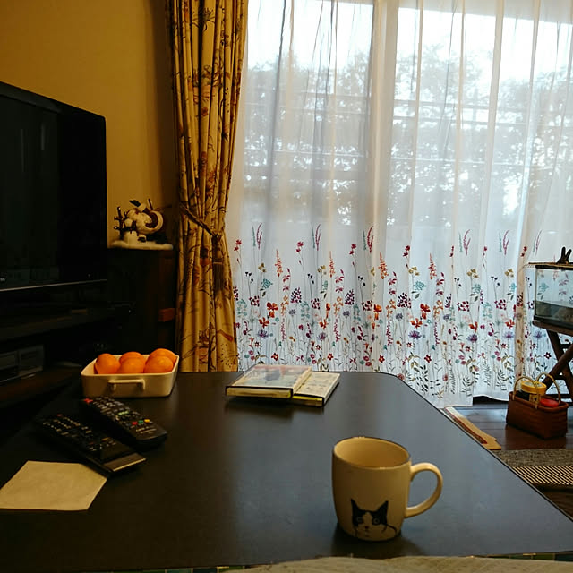 okyosan101さんの実例写真