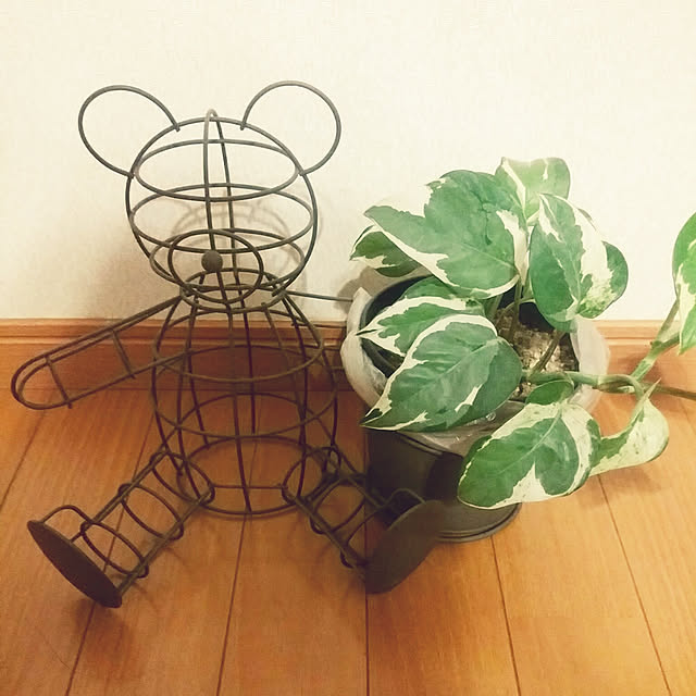 Ksanさんの実例写真