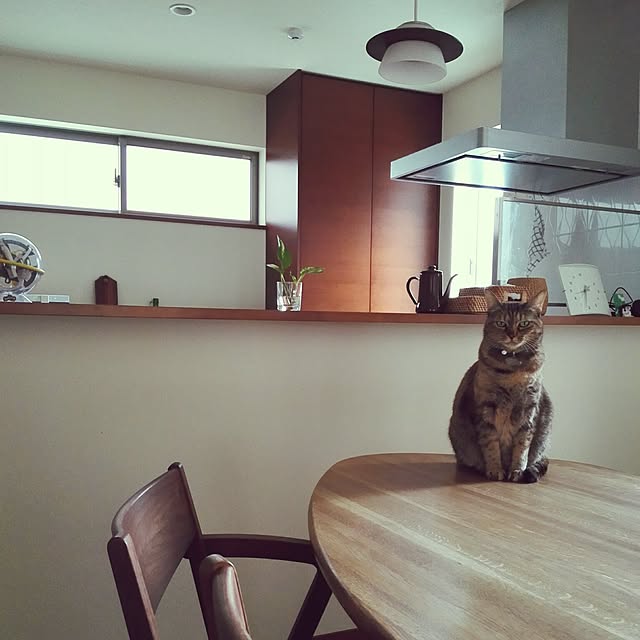 Yukさんの実例写真