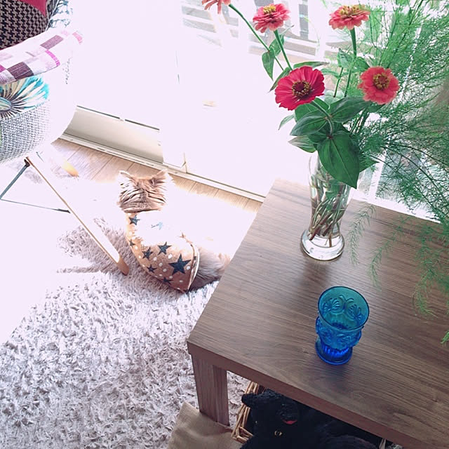 nanaringo_さんの実例写真