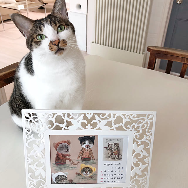 yuchiさんの実例写真
