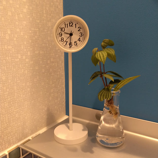 バス/トイレ/無印良品/観葉植物のインテリア実例 - 2021-04-09 09:32:27