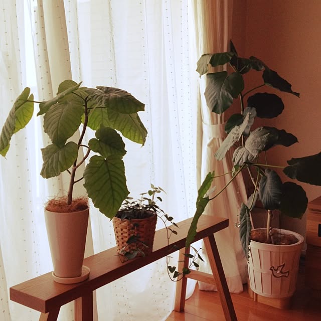 naturallyさんの実例写真