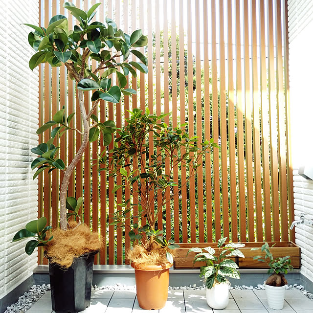 MYHAUSさんの実例写真