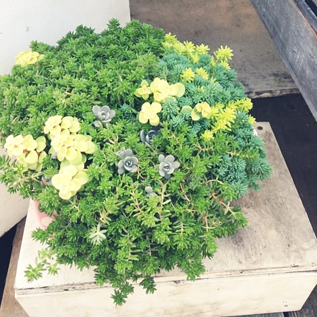 studio-fleurさんの実例写真
