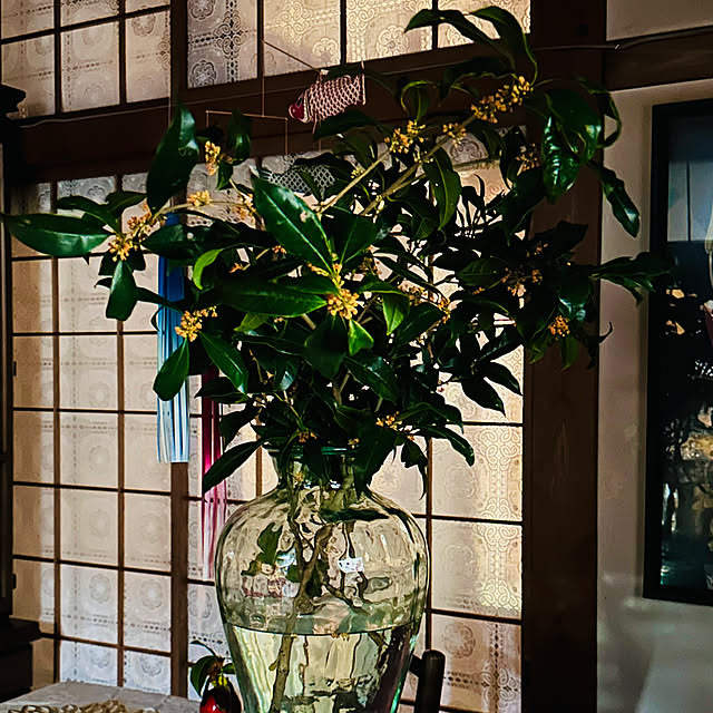 chacoさんの部屋