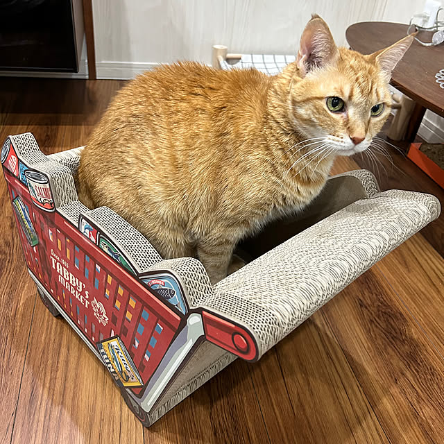 mikeume7さんの部屋