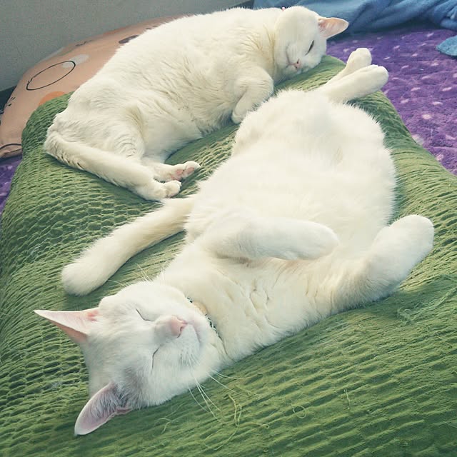 DrySourceさんの実例写真