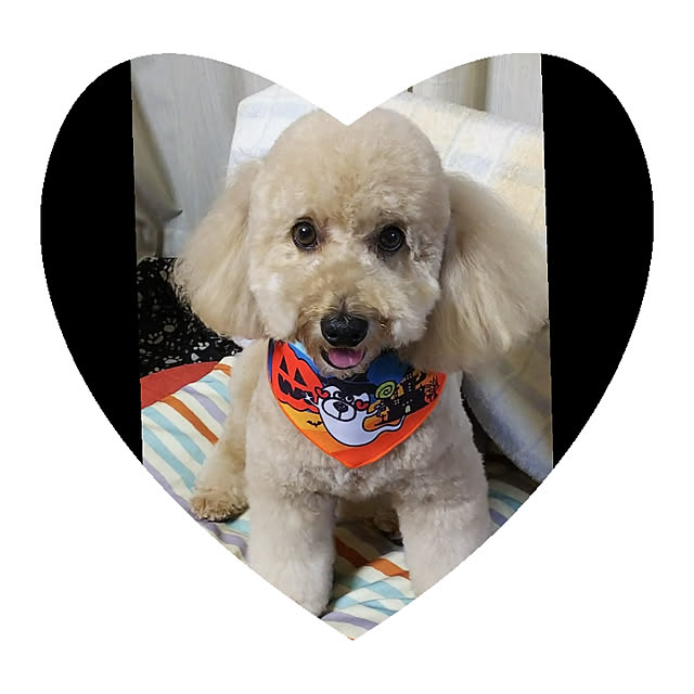 yumirinさんの実例写真