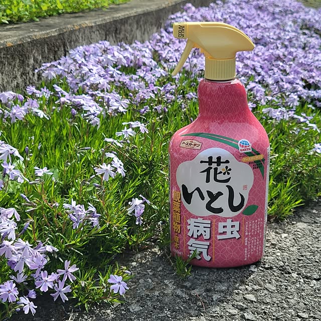 reireiさんの実例写真