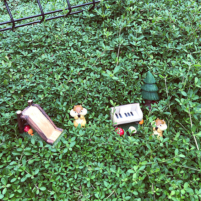 darling0826さんの実例写真