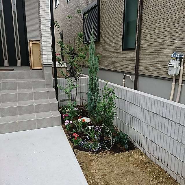 komokenさんの実例写真