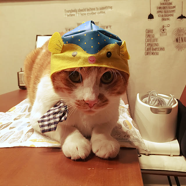 nyanyakoさんの実例写真