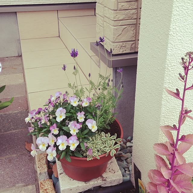 rubyさんの実例写真