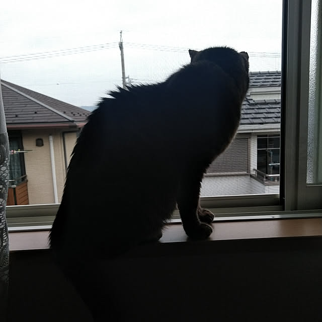 lilyさんの実例写真