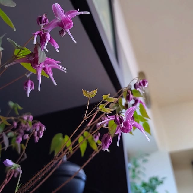 NOAHさんの部屋