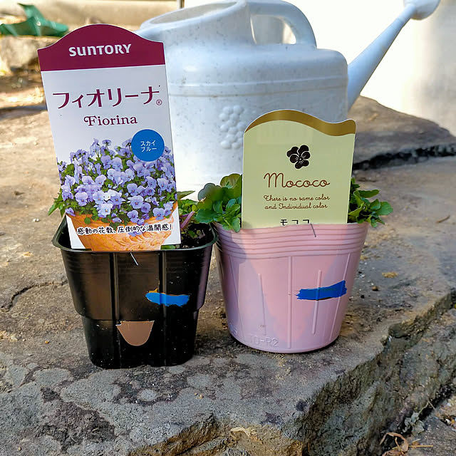 sunnyさんの実例写真