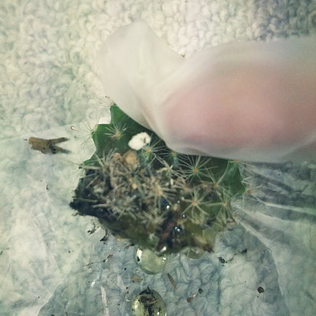 ...t_m_eee...さんの実例写真