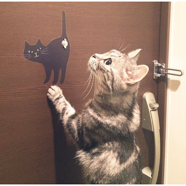 mikomaruさんの実例写真