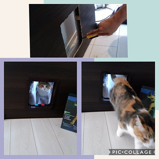 azumonaさんの実例写真
