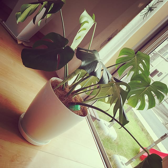 Yurieさんの実例写真