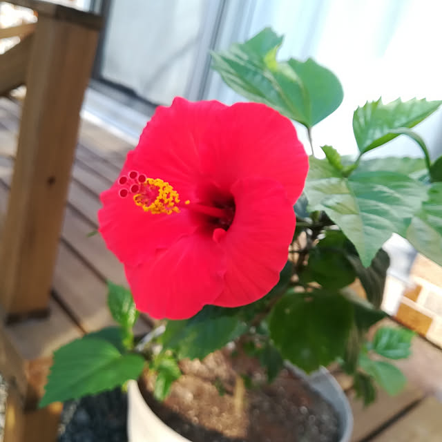 実例写真