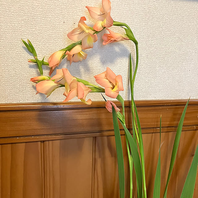 akさんの部屋