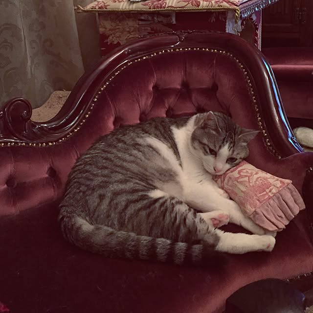 emmyyさんの実例写真