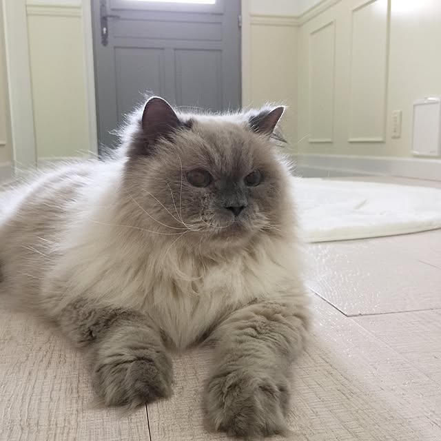 yuchiさんの実例写真