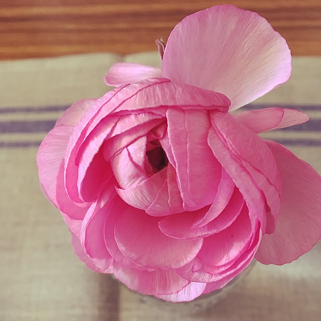 sachiko_oさんの実例写真