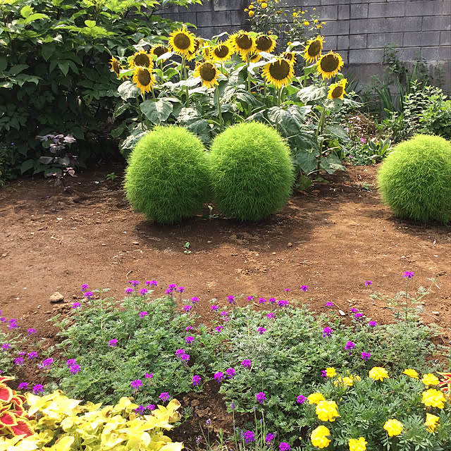 houenさんの実例写真