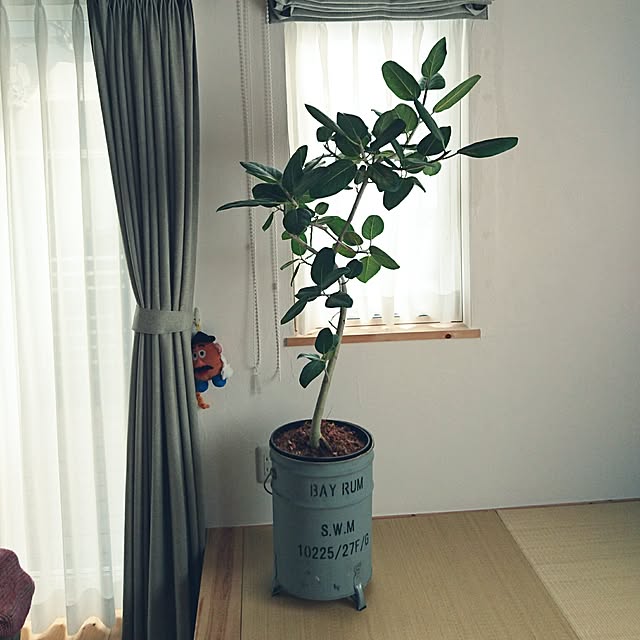 cocomanaさんの実例写真