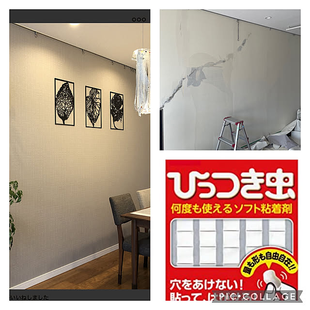 Murrさんの実例写真