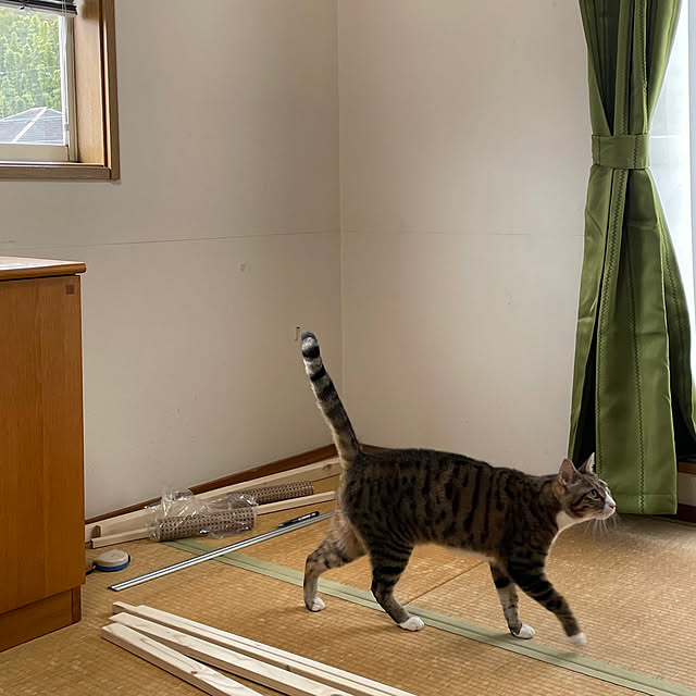 nobikoさんの部屋