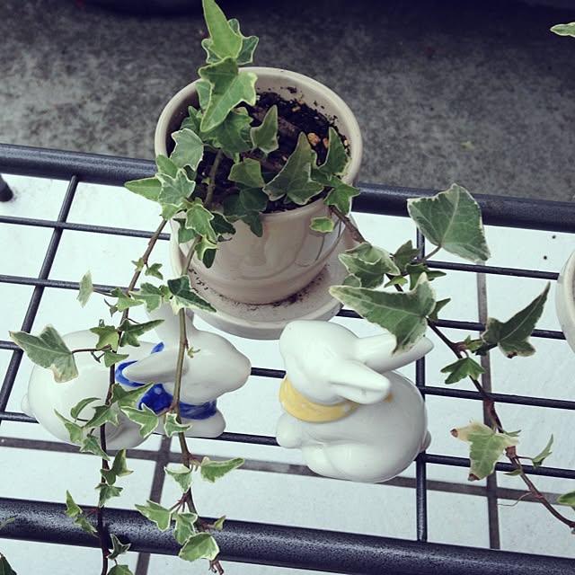 mikaさんの実例写真