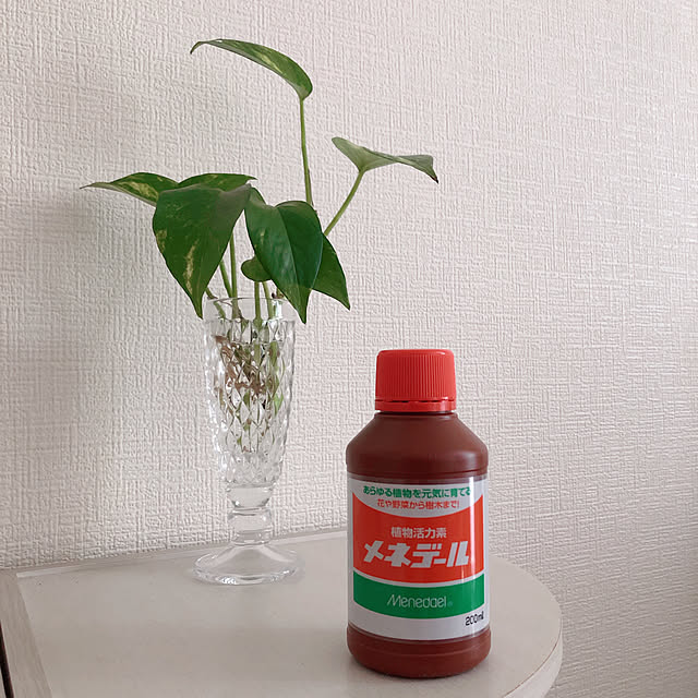 RanRanさんの実例写真