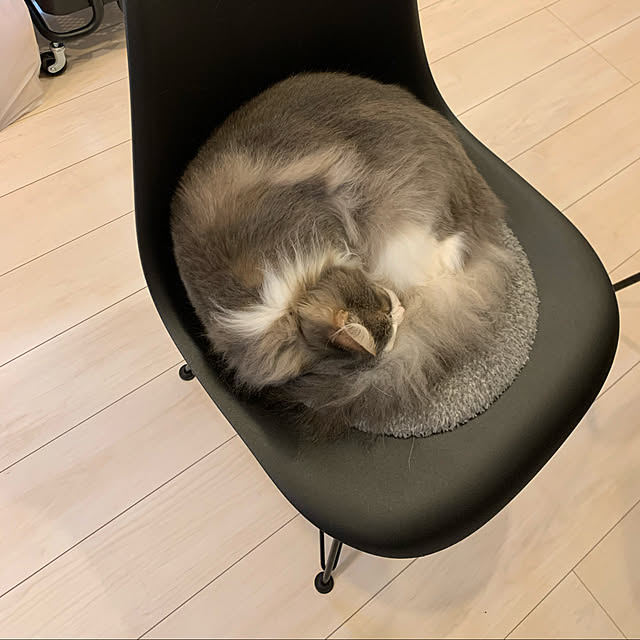 leoさんの実例写真