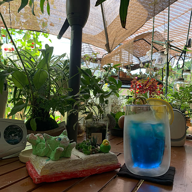 Aqettyさんの部屋