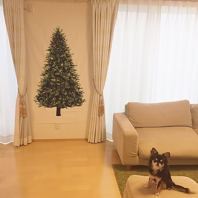 fumiさんの実例写真