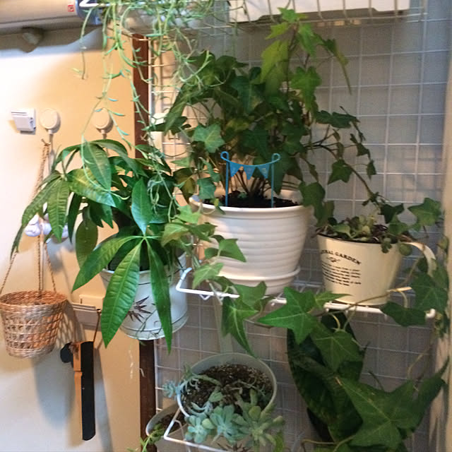 kuさんの実例写真