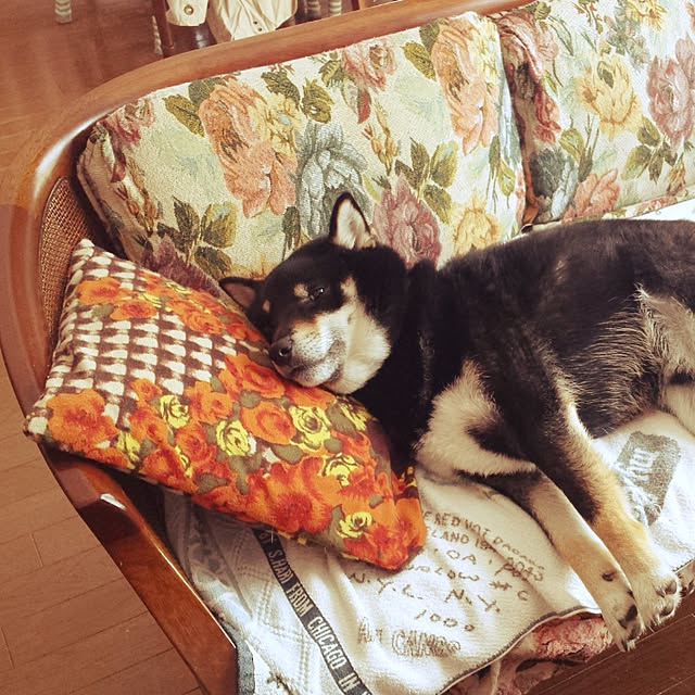 tsutawarimasuさんの実例写真
