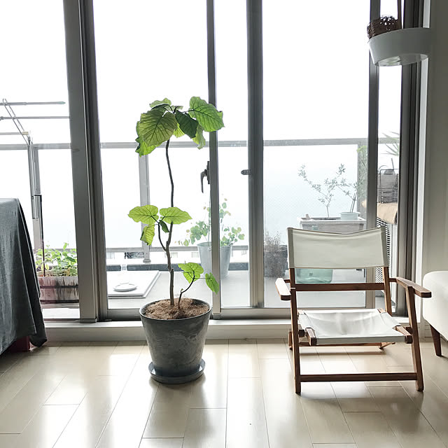 ku_ra_shi_さんの実例写真