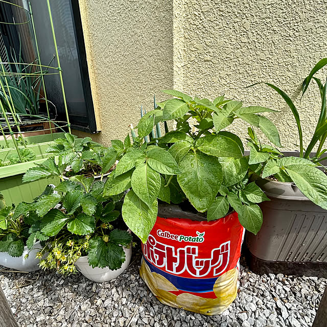 enotasoさんの部屋
