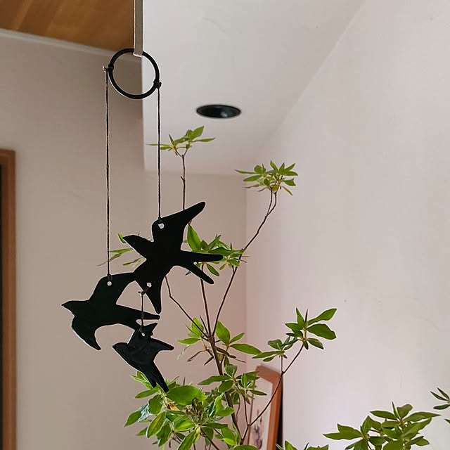 hana-さんの部屋