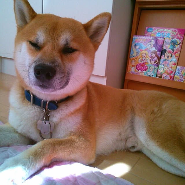 kotaさんの実例写真